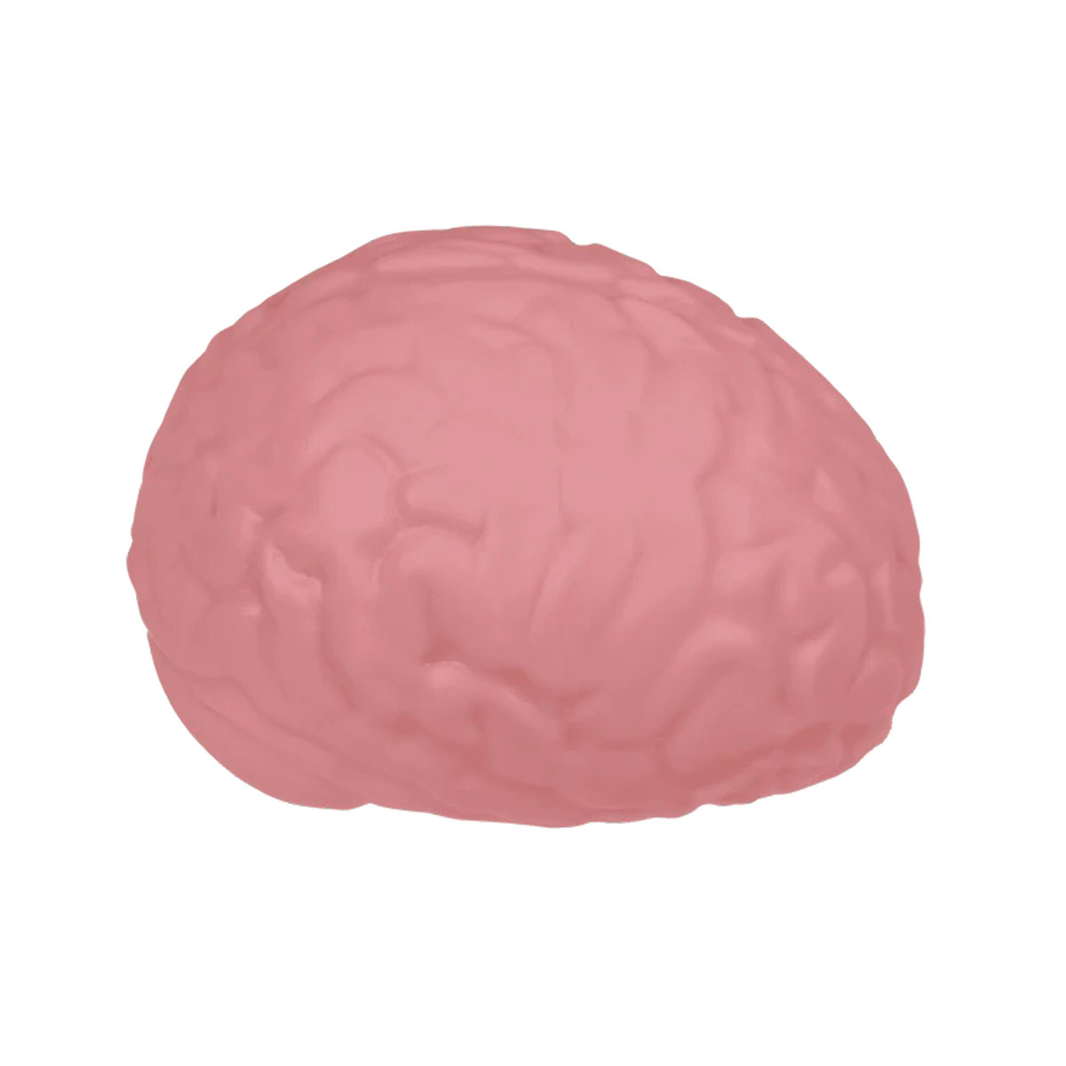 Анти-стрес фигура The XL Brainy One 