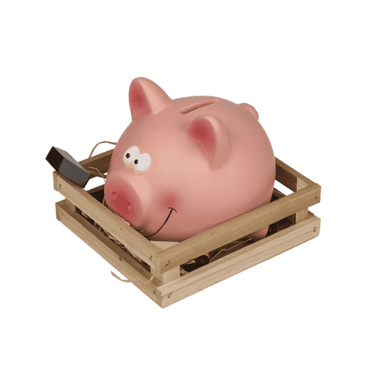 Касичка за пари со чеканче Pig 