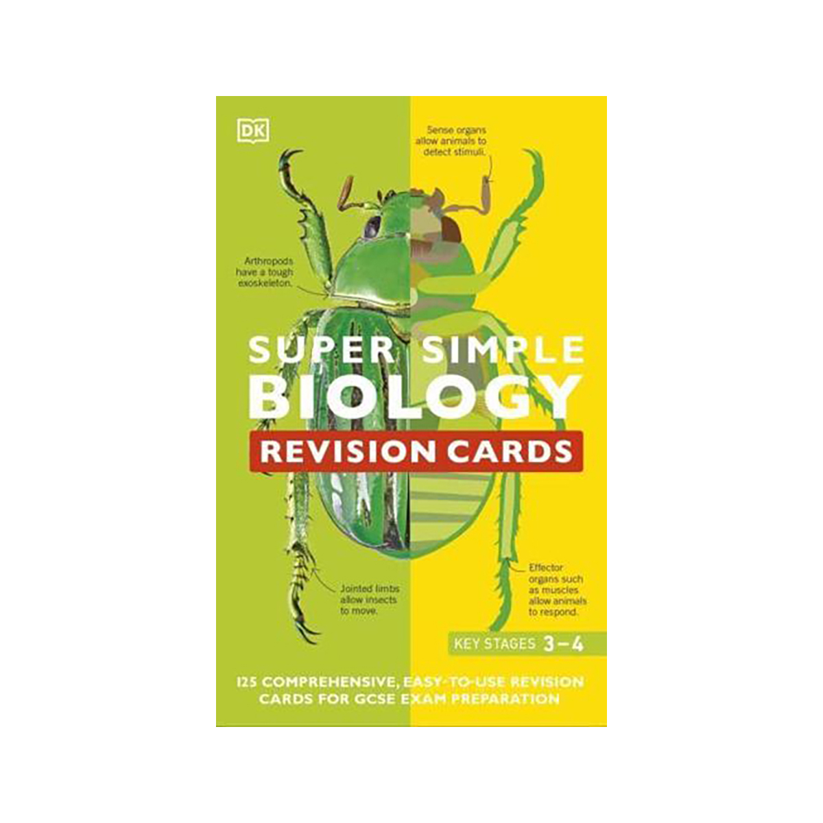Super Simple Biology Revision Cards Key Stages 3 and 4 | literatura.mk