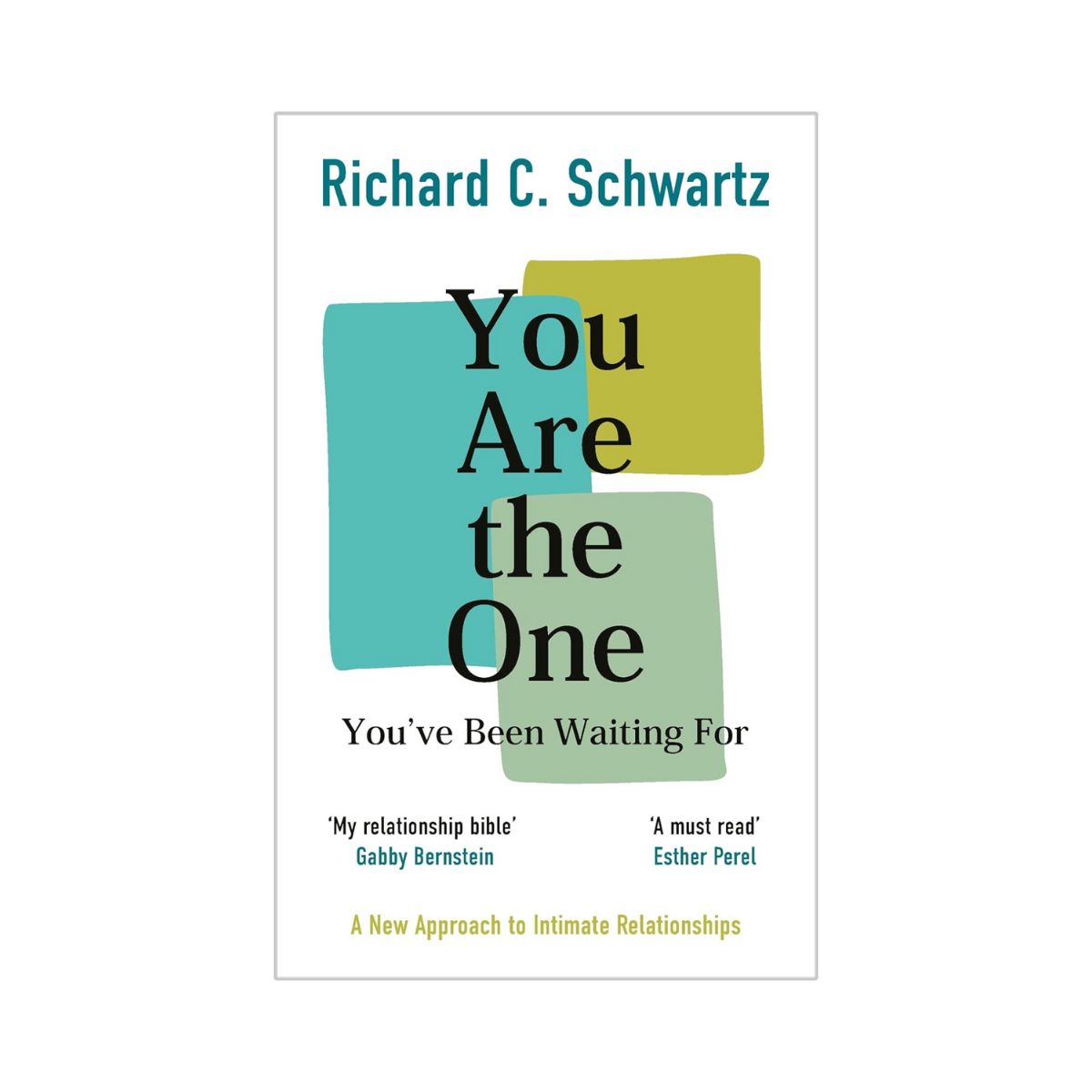 You Are the One You’ve Been Waiting For literatura.mk