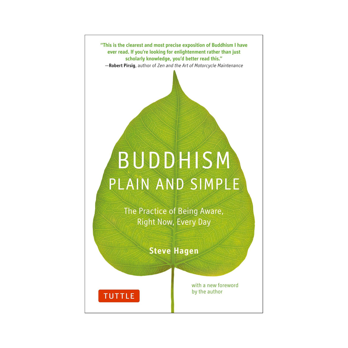 Buddhism Plain and Simple: The Practice of Being Aware Right Now, Every Day 