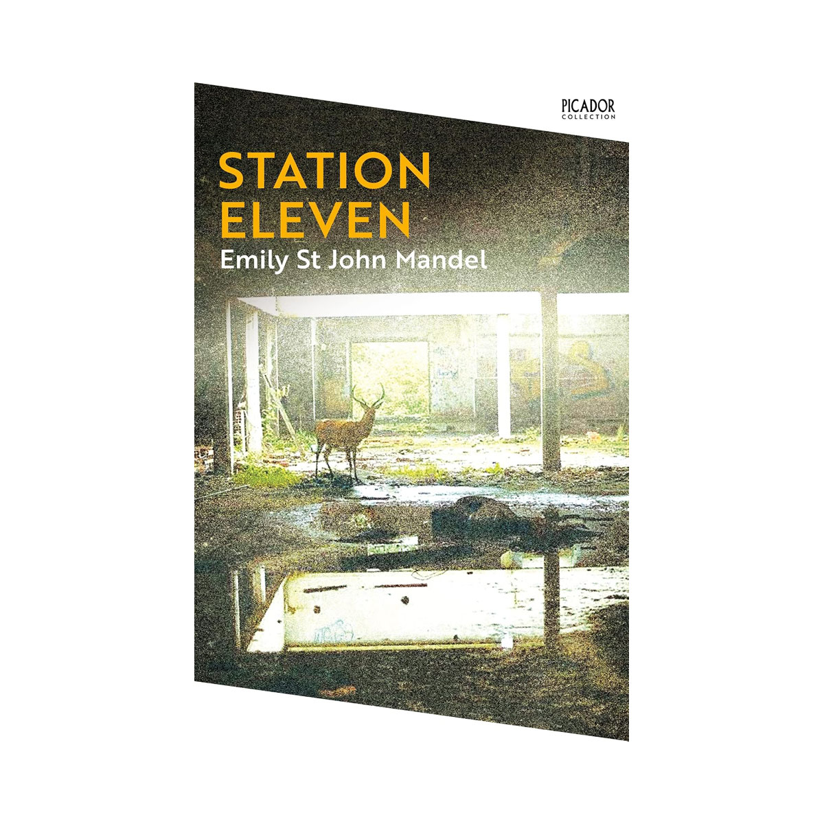 Station Eleven: Emily St. John Mandel (Picador Collection, 12 (International Edi 