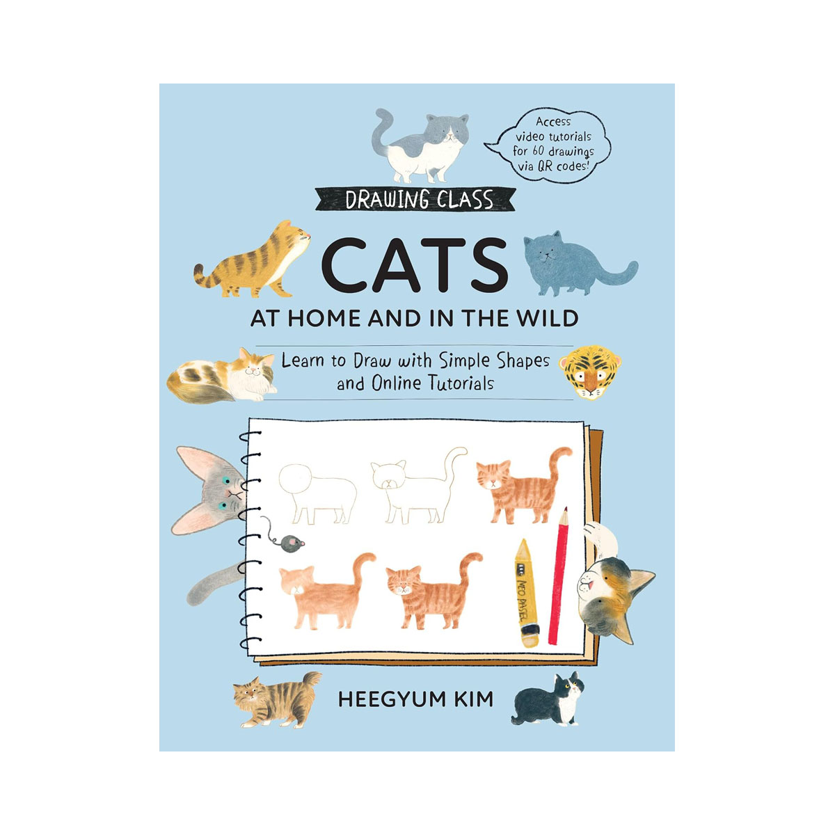 Drawing Class: Cats at Home and in the Wild: Learn to Draw with Simple Shapes an 