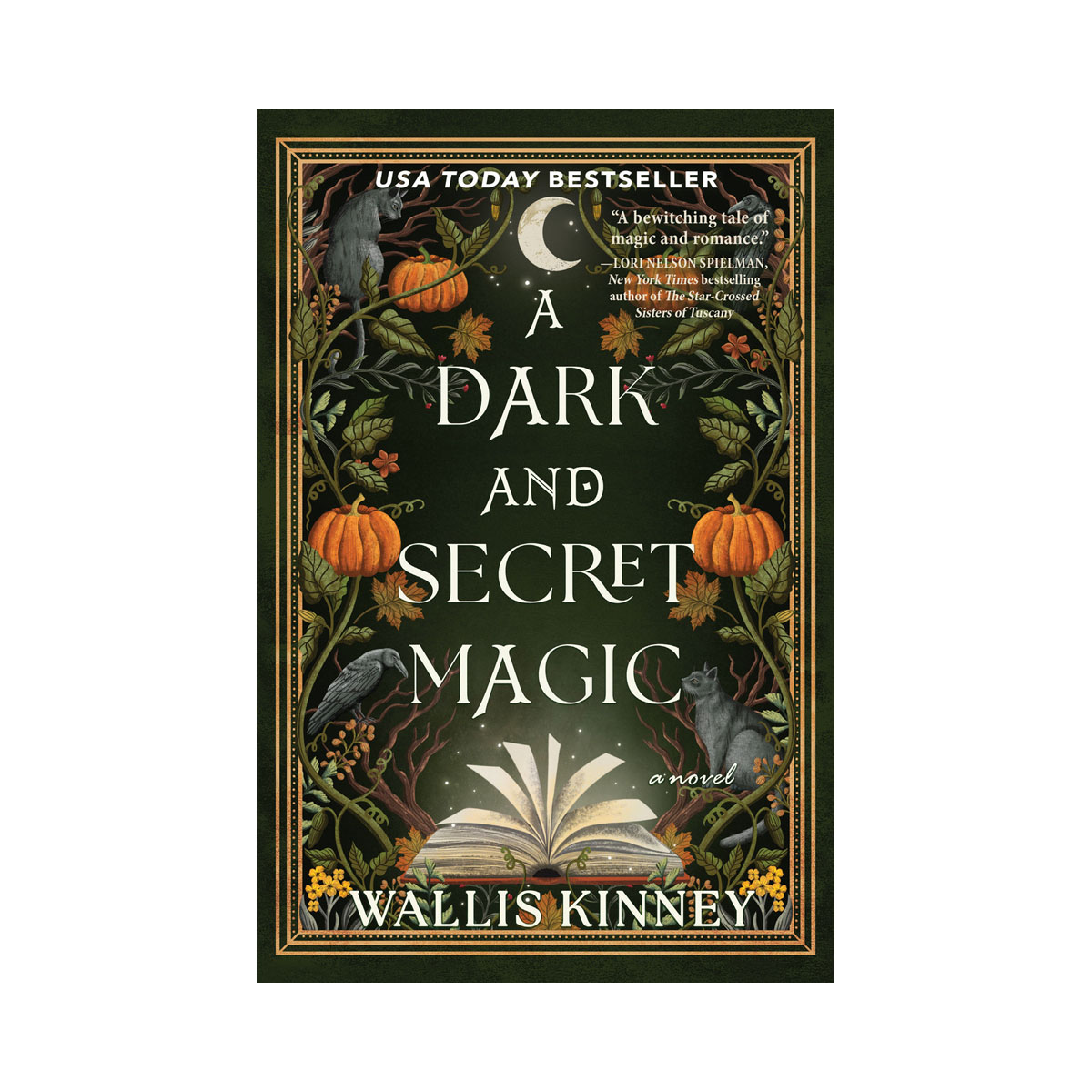 A Dark and Secret Magic: A Novel 