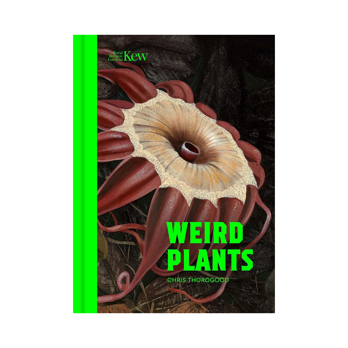 Weird Plants 
