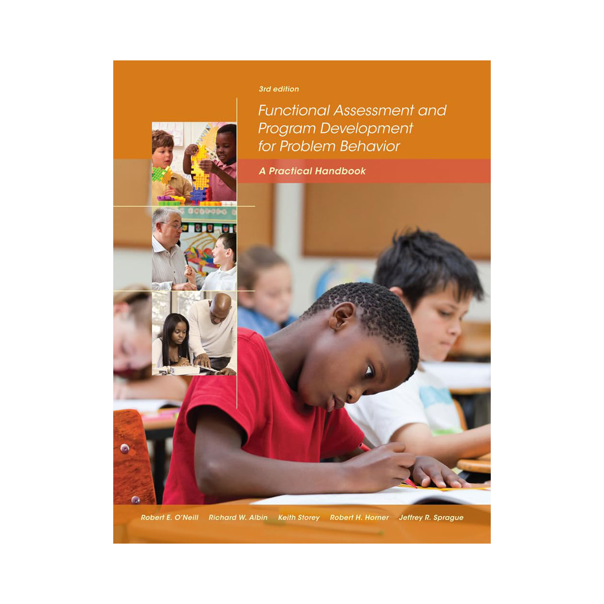 Functional Assessment and Program Development 