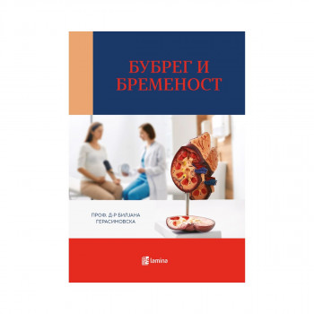 Бубрег и бременост 