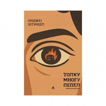 Толку многу пепел 