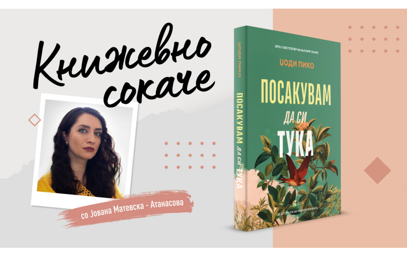 „Посакувам да си тука“ од Џоди Пико - За „отворочните“ пресврти