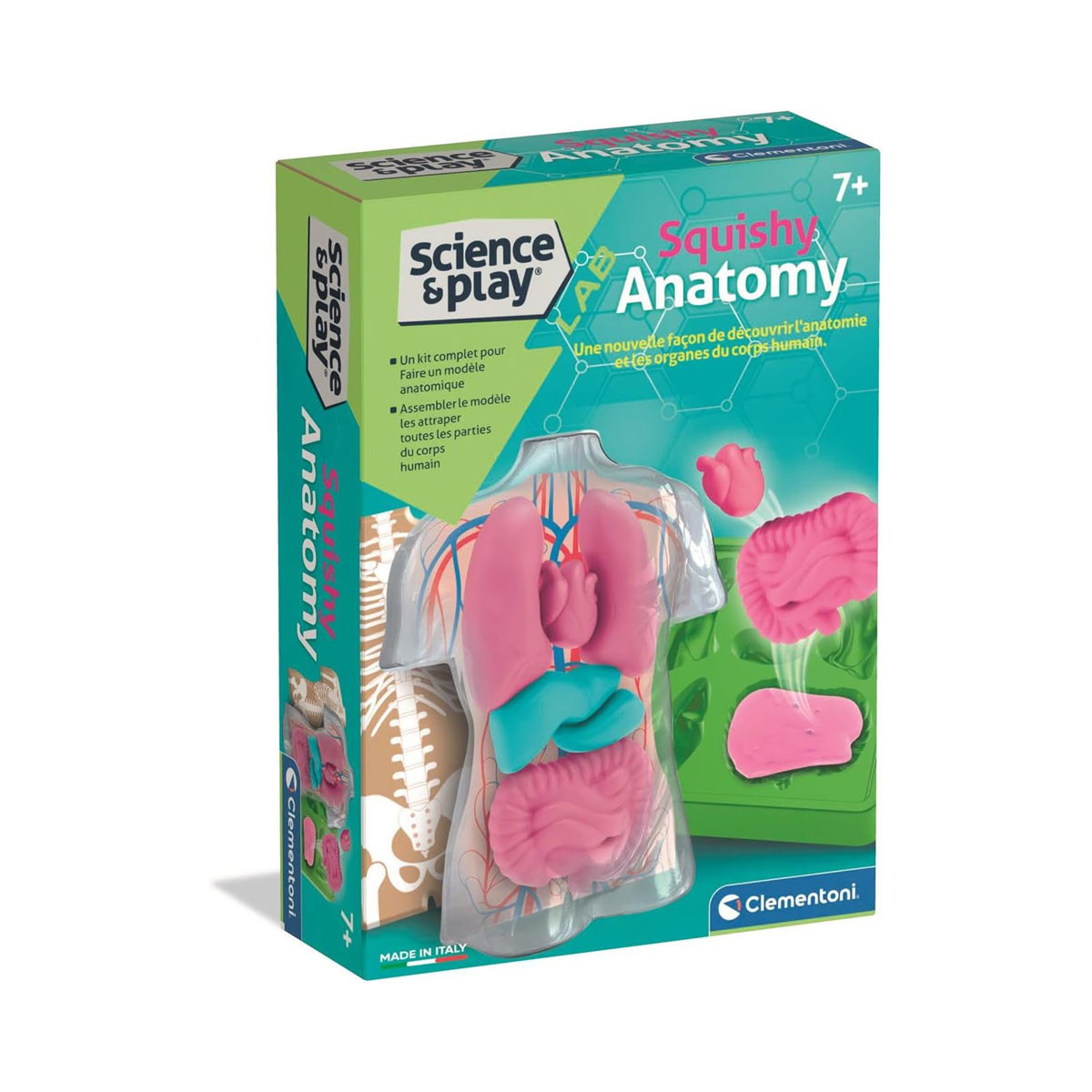 СТЕМ сет, Science & Play Lab, Squishy Anatomy 