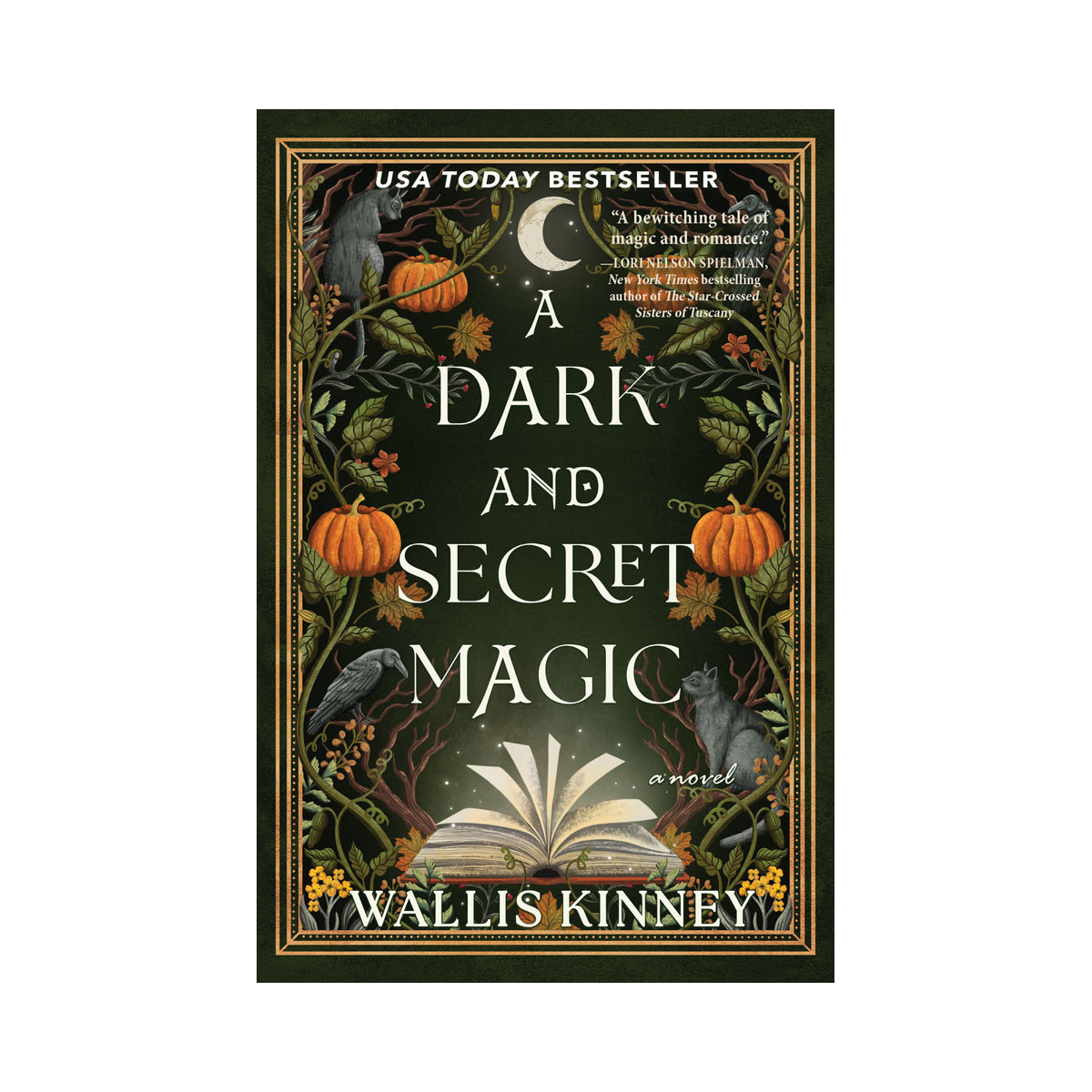 A Dark and Secret Magic: A Novel 