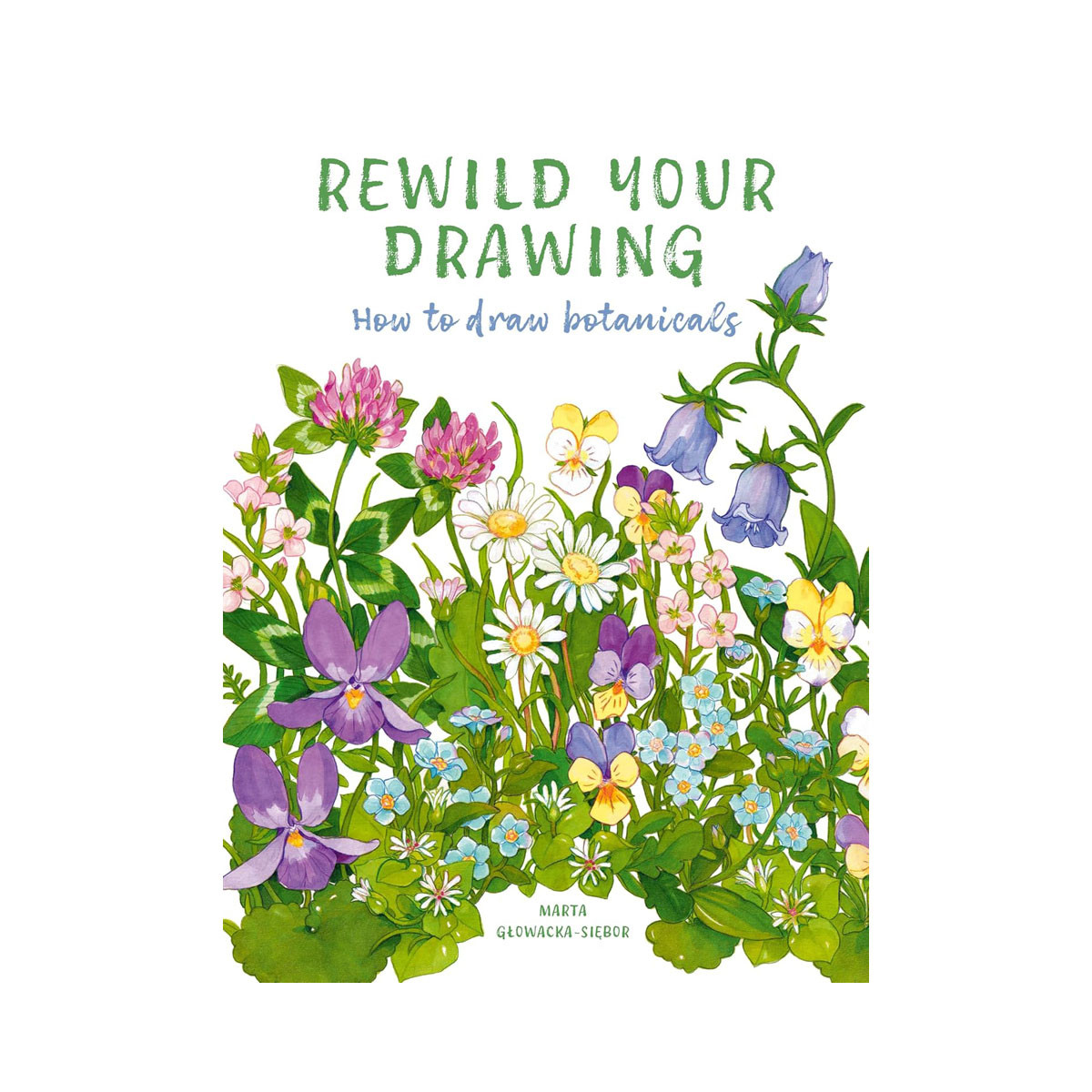 Rewild Your Drawing: How to draw botanicals 