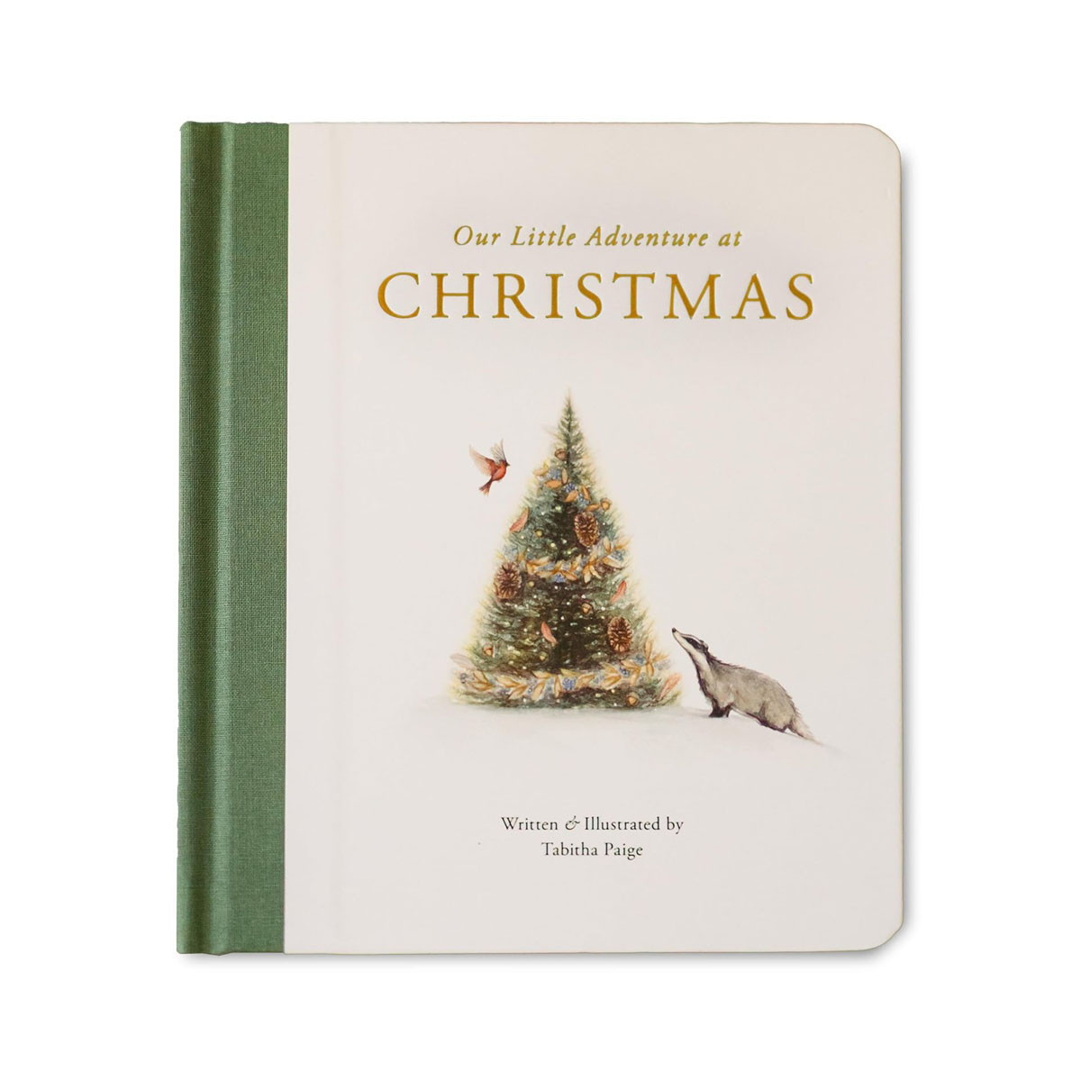 Our Little Adventure at Christmas: Featuring Foundational Language Concepts and 