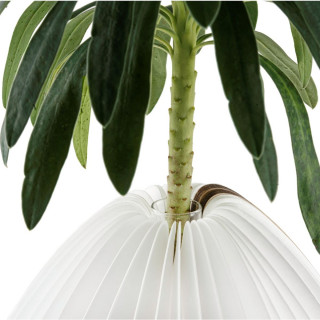 Паметна ламба - Вазна, Smart Vase Light, дрво - орев