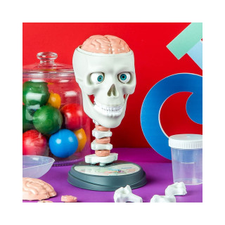 STEM сет, Science & Play, Crazy Anatomy 