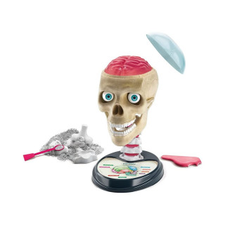 STEM сет, Science & Play, Crazy Anatomy 