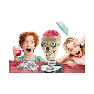 STEM сет, Science & Play, Crazy Anatomy 