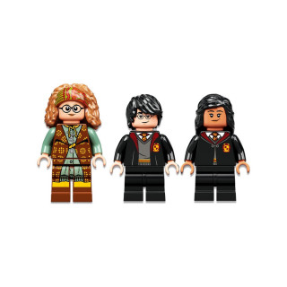 LEGO коцки, Harry Potter, Hogwarts™ Moment: Divination Class