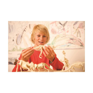 STEM сет, Kidz Labs, Dig a Dinosaur Skeleton - Velociraptor 