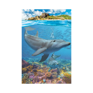 Сложувалка, Dolphins, 250 парчиња