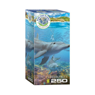 Сложувалка, Dolphins, 250 парчиња