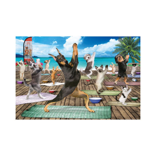 Сложувалка, Yoga Spa, 500 парчиња