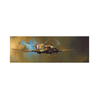 Сложувалка - панорама, Spitfire - Barrie A.F. Clark, 1000 парчиња