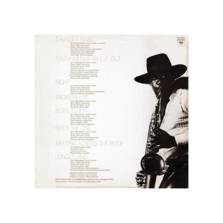 Винил, Bruce Springsteen - Born to Run (1975)