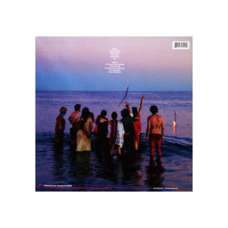 Винил, MGMT - Oracular Spectacular (2007)
