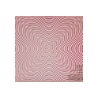 Винил, MGMT - Oracular Spectacular (2007)