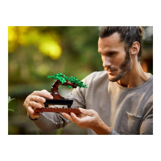 LEGO коцки, Botanical Collection, Bonsai Tree