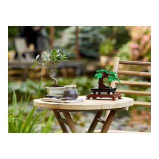 LEGO коцки, Botanical Collection, Bonsai Tree