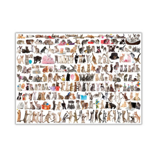 Сложувалка, The World of Cats, 1000 парчиња