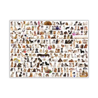 Сложувалка, The World of Dogs, 1000 парчиња