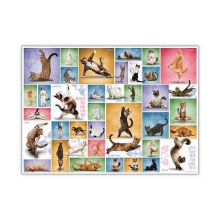 Сложувалка, Yoga Cats, 1000 парчиња