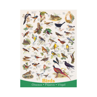 Сложувалка, Birds, 1000 парчиња