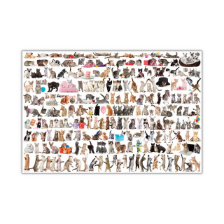 Сложувалка, The World of Cats, 2000 парчиња