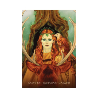 Through The Eyes Of The Soul: 52 Prophecy Cards & Guidebook