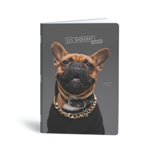 Тетратка, Lipa Mill, Premium - Pets, A5, коцки 