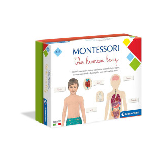 Едукативен сет, Montessori: The Human Body 