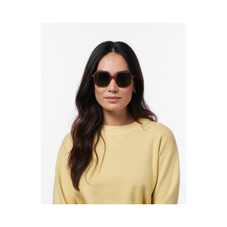 Очила за сонце, Office Havane 