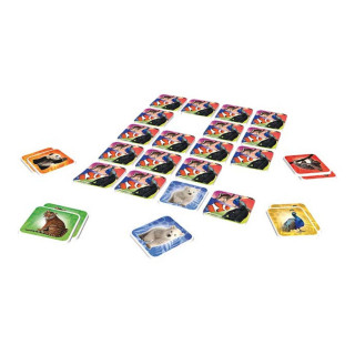 Меморија со боење - ZOO 