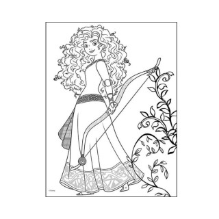 Боенка со холограмски стикери - Princess 