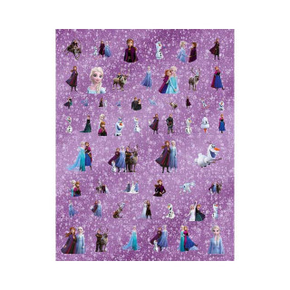 Боенка со 100 металик стикери - Frozen 