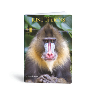 Тетратка, Lipa Mill, King of Lions, А4, линии 