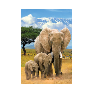 Сложувалка, Save Our Planet Collection - Elephants, 250 парчиња