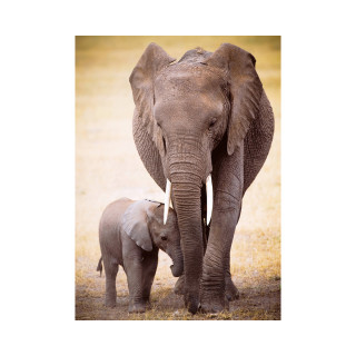 Сложувалка, Elephant & Baby, 1000 парчиња