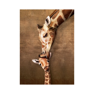 Сложувалка, Giraffe Mother's Kiss, 1000 парчиња