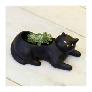 Саксија за цвеќе - Cosmo The Black Cat