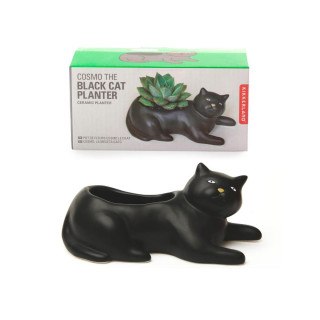 Саксија за цвеќе - Cosmo The Black Cat